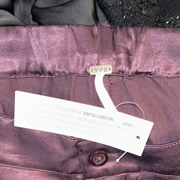 NWT Young Fabulous & Broke Findlay Satin Cargo Carpenter Pants in Raisin - M - Picture 12 of 16